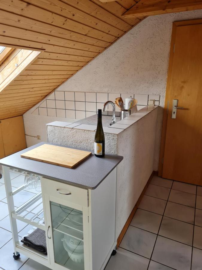 Chagall - Helles Und Gemuetliches Appartement Nahe Der Historischen Altstadt 美因茨 外观 照片